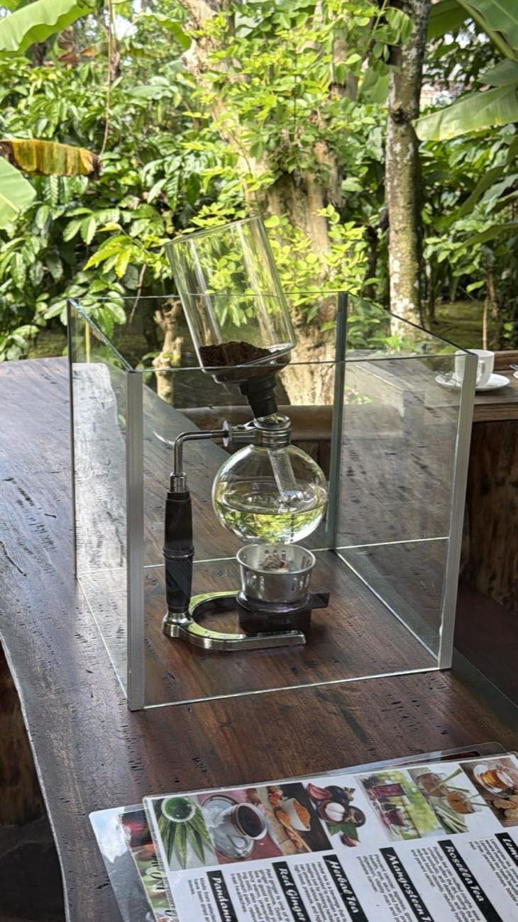 Siphon coffee brewer at the plantation garden